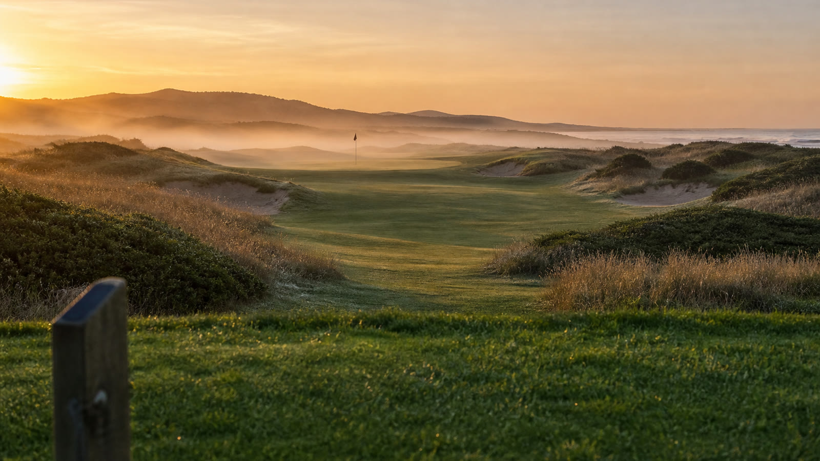 Empty coastal golf tee box at first light, with fog on the fairway and a wooden tee marker.